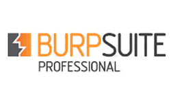 BURPSUITE PROFESSIONAL